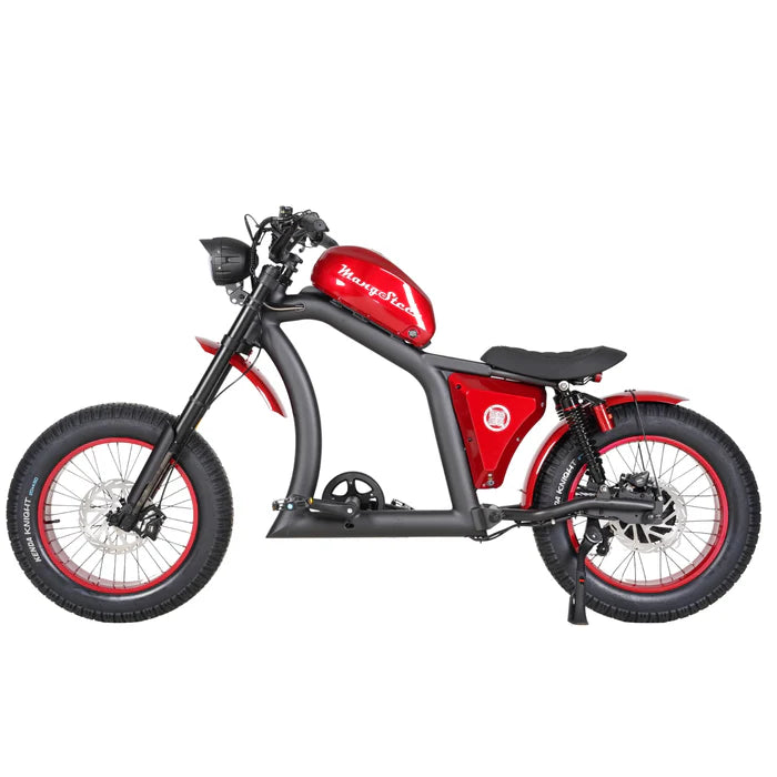 Chopper bike FT02