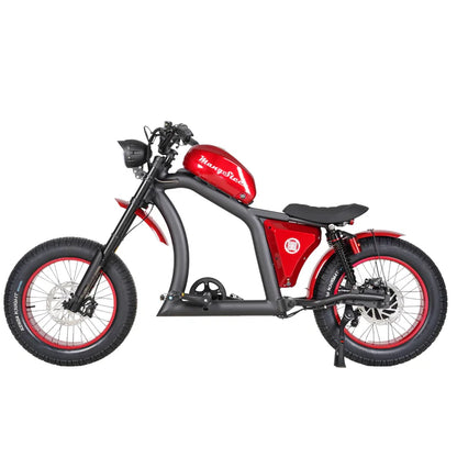 Chopper bike FT02