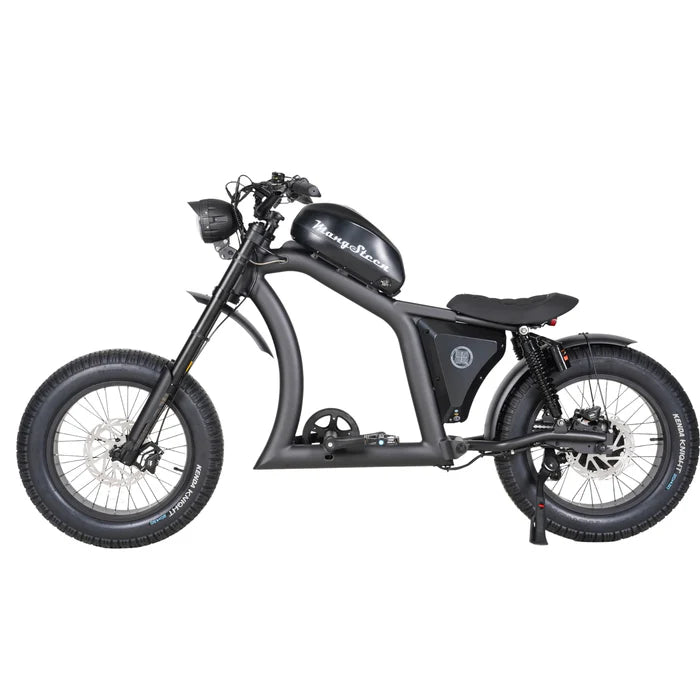 Chopper bike FT02