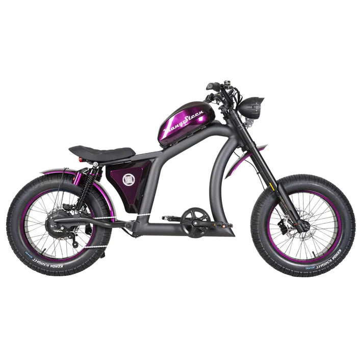 Chopper bike FT02
