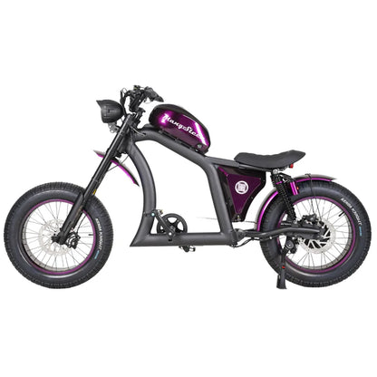 Chopper bike FT02