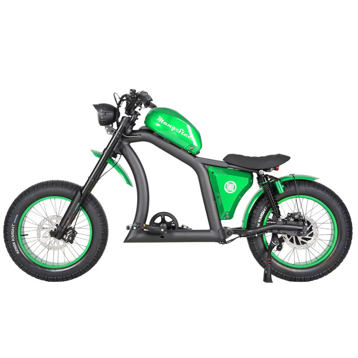 Chopper bike FT02