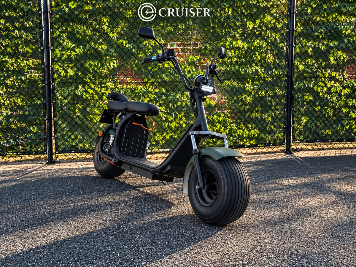 Ecruiser X1 | 2311km