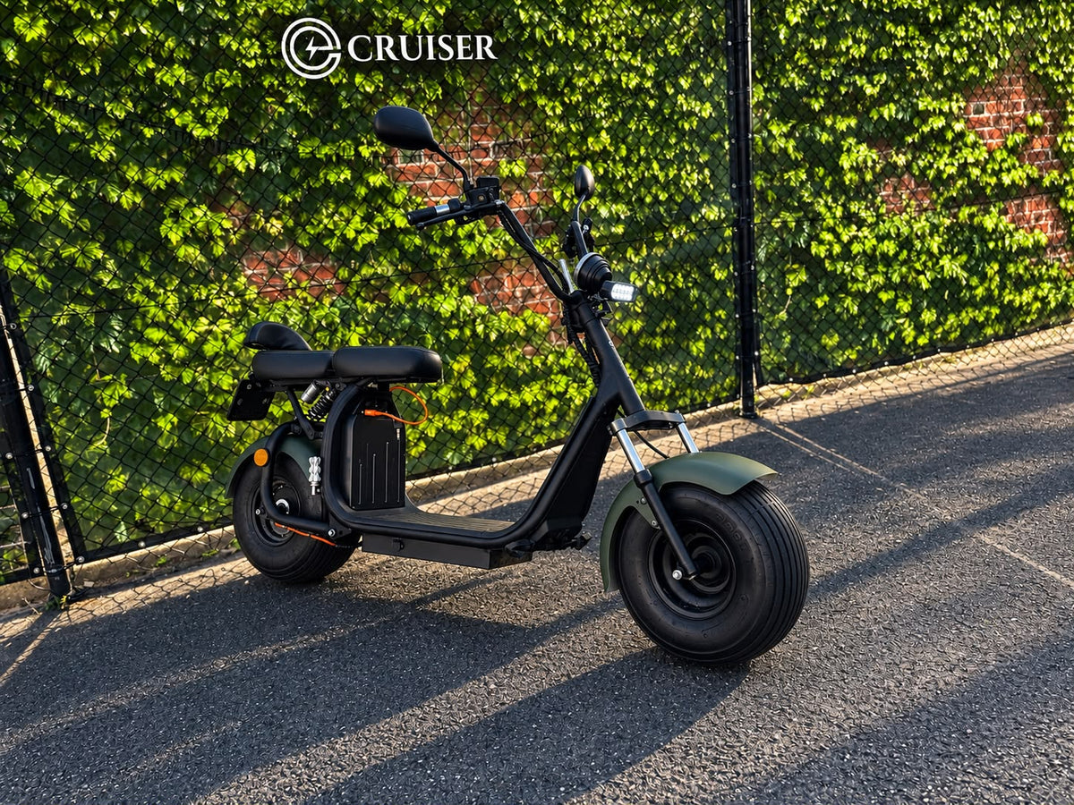 Ecruiser X1 | 2311km