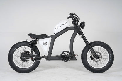 Chopper bike FT02