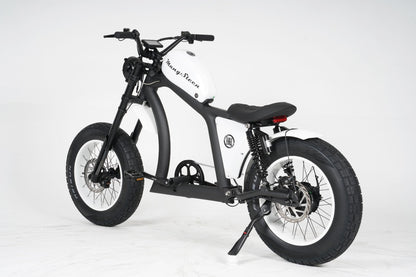 Chopper bike FT02