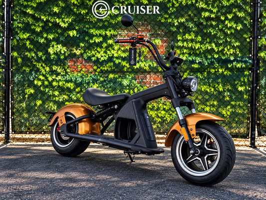 Echopper M8 | 289km