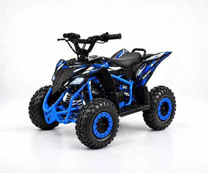 Elektrische kinder quad