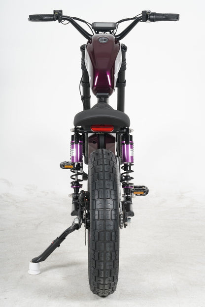 Chopper bike FT02