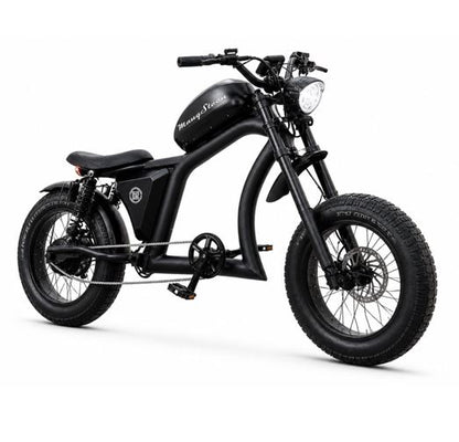 Chopper bike FT02