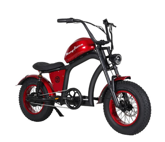 FT02- Mini rood