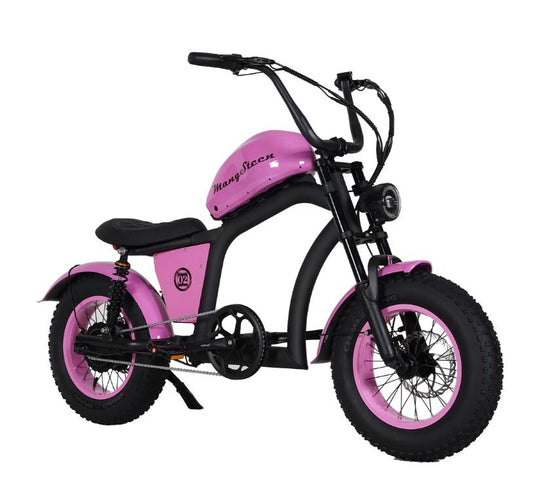FT02- Mini roze