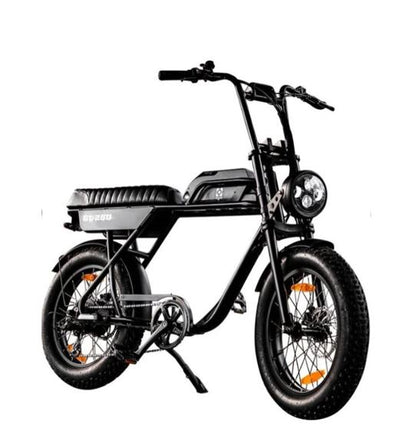 AGM GT250 | Fat Bike