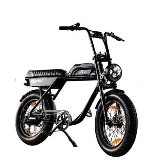 AGM GT250 | Fat Bike