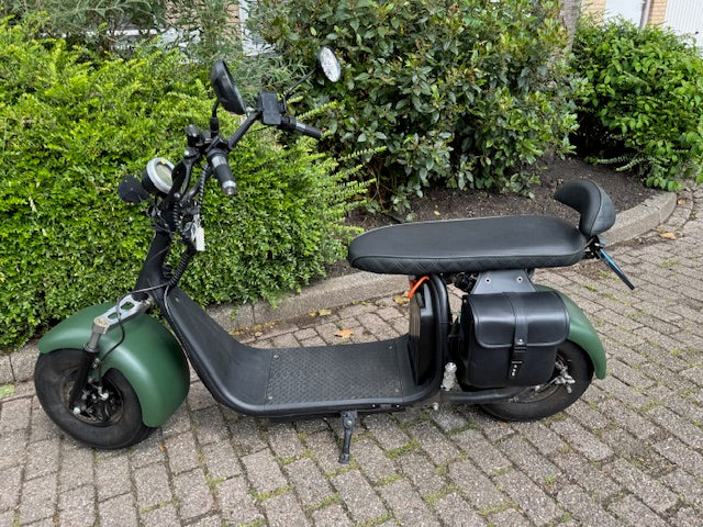 Ecruiser X1 e-scooter in groen, geparkeerd op straatstenen naast struiken